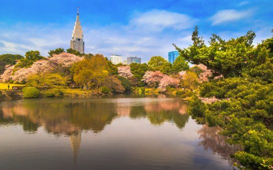 Jardim Nacional Shinjuku Gyoen